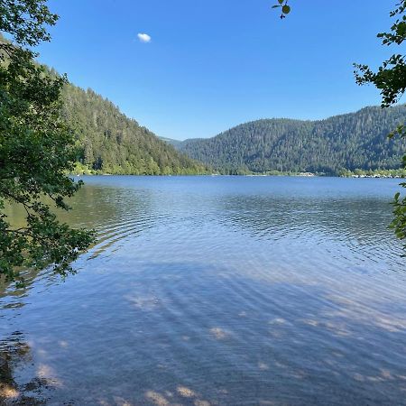 Le Chalet Blanc De Gerardmer Avec Spa المظهر الخارجي الصورة