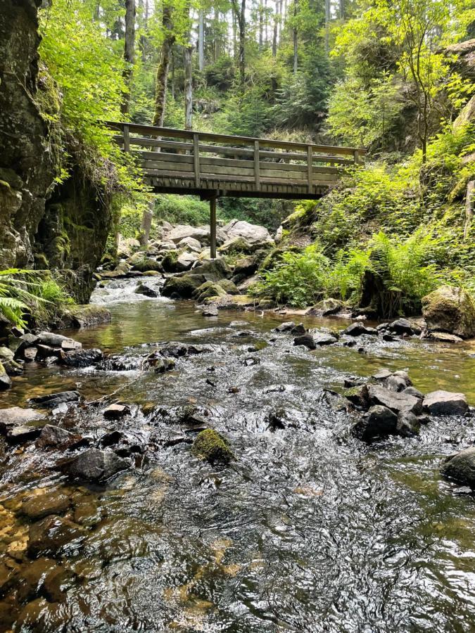 Le Chalet Blanc De Gerardmer Avec Spa المظهر الخارجي الصورة