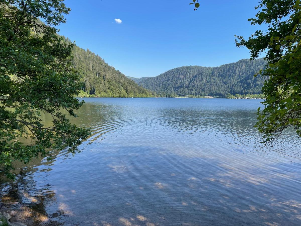 Le Chalet Blanc De Gerardmer Avec Spa المظهر الخارجي الصورة